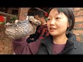 Thousand Years old traditional Chinese Porcelain Making (turn on the subtitles!) | EP13, S2