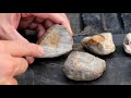 Hunting for South Dakota Fairburn Agates  (4K)