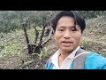 30 june, 2024 Road updates Between Pasighat to Mariyang... @k.lenjingmodi4383