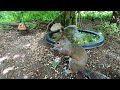 🕊️🐿️Birds & Squirrels [NO MID-ROLL ADS] 10 Hour - Cat & Dog TV | Entertain Your Pets 🐶😺❤️