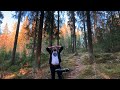 Chill organic house mix in the forest