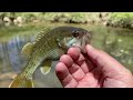 2 HOURS of Creek Fishing with Rebel Critters!