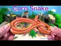 Snakes Serpent Reptile Viper Basilisk Vermin Slithery Nope Ropes 1