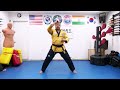 Improve Your Basic Taekwondo Hand Techniques.