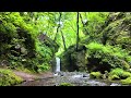 4K Japanese Forest Stream and River Ambience | White Noise | Sleep, Relaxation & Meditation