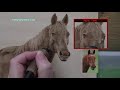 Wood Burning -  THE HORSE - pyrography tutorial