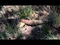 Hiking to The Elden Lookout Tower - Flagstaff AZ