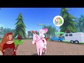 REDEEMING 20,000 TRAINING RECEIPTS in WILD HORSE ISLANDS on ROBLOX **MULTIPLE HIGH TIERS**