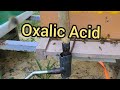 Package #1 Mite Check & Oxalic Acid - Day 89 - Beekeeping