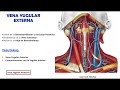🥇 VENOUS DRAINAGE OF THE NECK - (Internal, External, Subclavian Jugular Veins). Easy and Simple