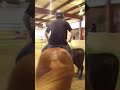 Bareback cuttin horse