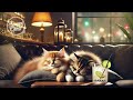 Healing Piano Jazz Work BGM Cafe Healing Relaxing Bossanova chill【Relaxing Cat Chord】