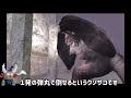 【閲覧注意】虫捕りしようとしたら虫に命を捕られるクソゲー【ネクロネシア】