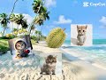 Funny And Cute Cats On A Beach 🏖️ #beach #cutecats #beachball #funny