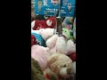 Claw machine at fry's