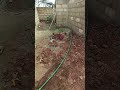 PPR pipe welding — Building in Ghana