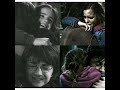 Harmione Is Each Other's Valentine