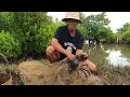 Lucky Day Catch Big Crabs  Near Mangrove Forest After The Sea Low Tide  |  BONG VATH |