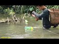 Setting a trap for stream fishing, the orphan boy khai caught a giant catfish