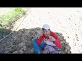 salam dri petani tembakau untuk haji her si bawang emas.