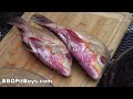 How-To Shoot and stuff a Fish Feast