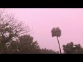 Strong Florida Thunderstorm with Close Lightning Strikes and Heavy Rain - July 20, 2021