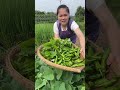 Let's eat show stir-fried vegetables spicy, chinese rural home cooking food