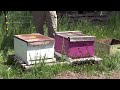 How to Split a Hive