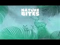 David Attenborough Encounters a Symbiotic Fungi! | Nature Bites