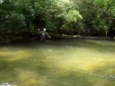 landing a brook trout
