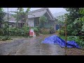 Heavy Rain in a Quiet Indonesian Village | Sleep instantly with the sound of heavy rain Indonesia