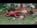 “Gentle Giant”|A ClayMation by PaleoZV