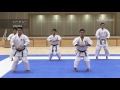 Ryuei-ryu KARATE Seminar  劉衛流KARATEセミナー 世界王者たちの「形・極意」【Lesson】