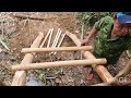Build a bamboo house. generate electricity. Survive off the grid