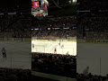 Grand Rapids Griffins Ice Hockey game