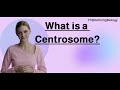 What is Centrosome? |Biology Definitions