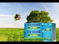 Cetrine allergy ad remake