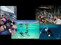 Thresher Sharks - 7 days in Malapascua - Diving in the Philippines: Part 2