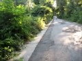 August 14, 2014 -  Biking the beautiful Vanderbilt Motor Pkwy again!