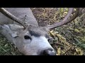 2022 Idaho DIY Mule Deer Hunt