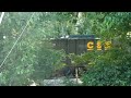 A short film of following a CSX Coal Train.