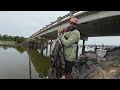 BRIDGE CATFISH SMACKDOWN in the DRAINING LAKE! -- Harvesting Everything Before It's TOO LATE!