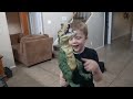 Nerf Gun Cardboard Box Battle! Cole Attacks Ethan with Nerf Guns for Stealing His Dinosaur Toy!