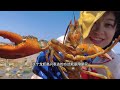 [ENG SUB] Xiao Zhang to sea  huge conchs & stranded groupers! Bucket of unhappy seafood!