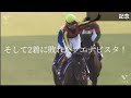 個人的　競馬名レース