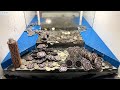 🤬TOLD TO “LEAVE” AFTER DOING THIS! OWNER CALLED! HIGH LIMIT COIN PUSHER $5,000,000 BUY IN, MEGA WIN!