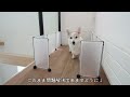 愛犬がトイレをはみ出すのでDIYしてみました【100均】