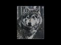 Wolf Paint By Numbers (PBN)