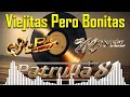 Duranguense Mix Patrulla 81, Grupo Montez De Durango, K Paz De La Sierra - Duranguense Para Bailar