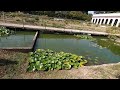 Villa Reale di Monza / Royal Villa of Monza (Lombardy) -  Le passeggiate di Rossella e Umberto